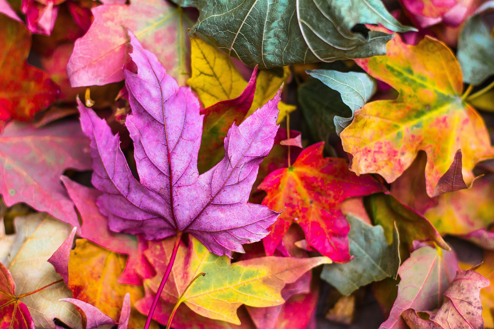 The colors of our human emotions (The experience of being sensitive)